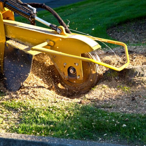 Stump Removal Service in Garland, TX