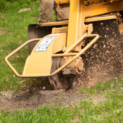 Stump Removal Service in Garland, TX